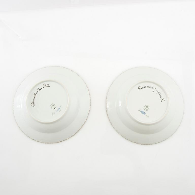 Deep plates 2 pcs "Flora Danica" Royal Copenhagen Denmark 1963-1964 porcelain.