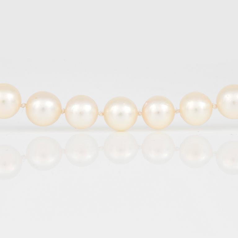 COLLIER, odlade saltvattenspärlor, lås i 14K vitguld.
