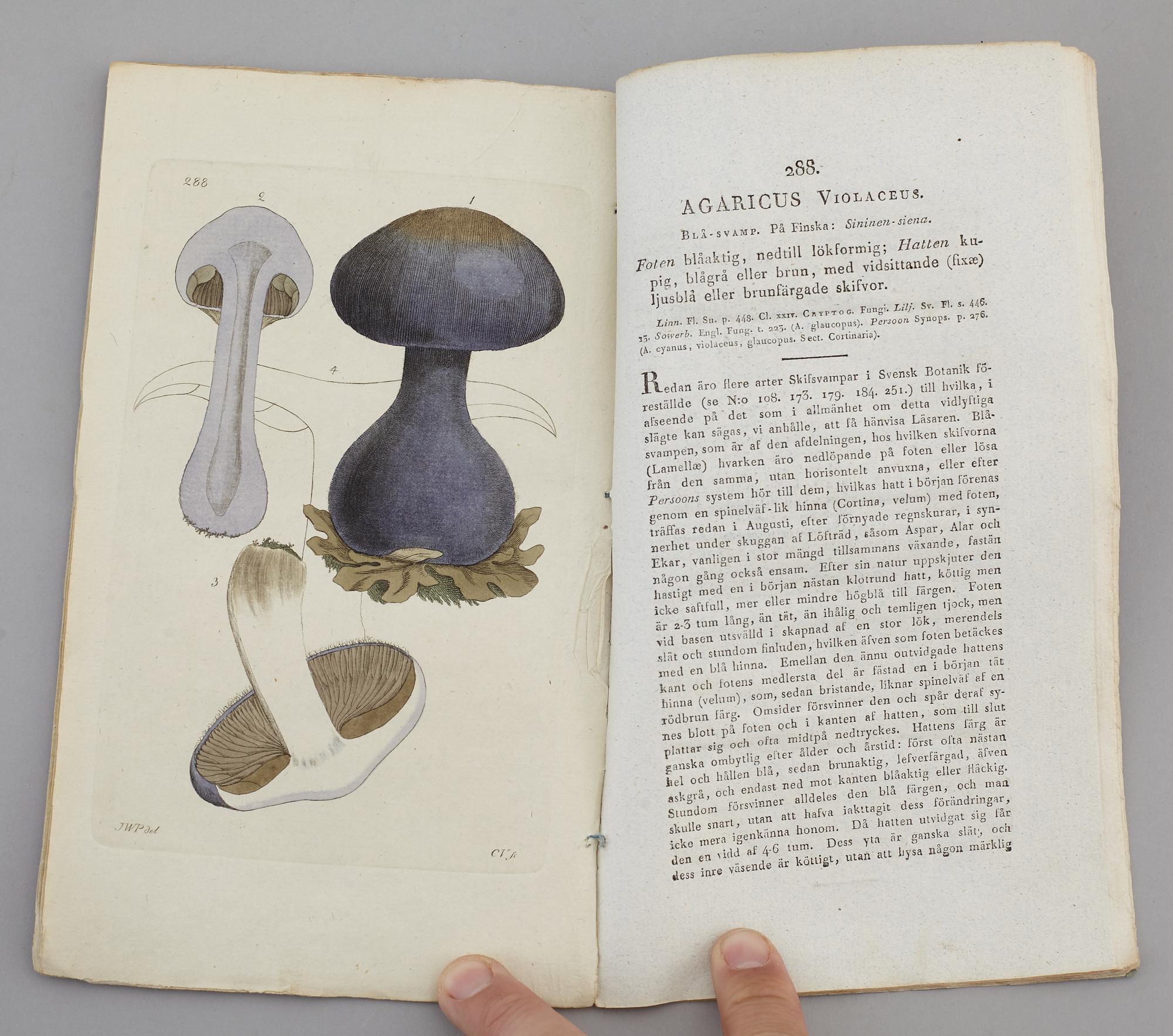JOHAN WILHELM PALMSTRUCH, "Svensk Botanik, vol I-V. 1803-1805.