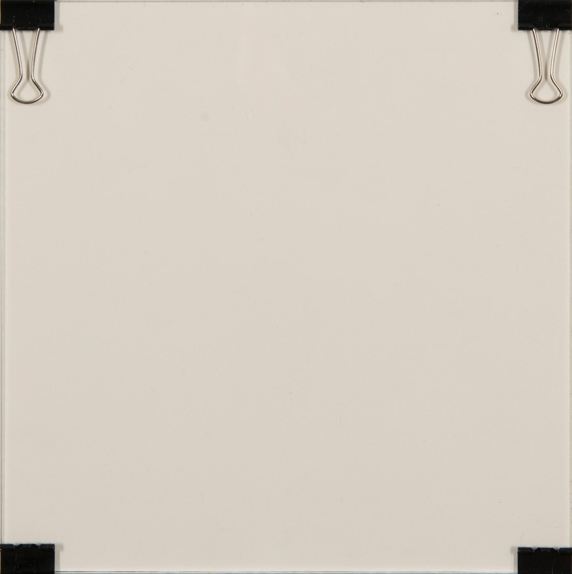 ANA GUTIESZCA, "DERRIDA'S BESTIARY I".