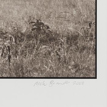 Nick Brandt, "Lion Jumping from Tree, Masai Mara", 2008.