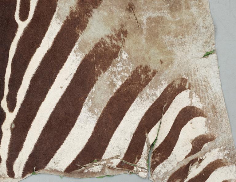 ZEBRASKINN, Zambia, 1980-tal.