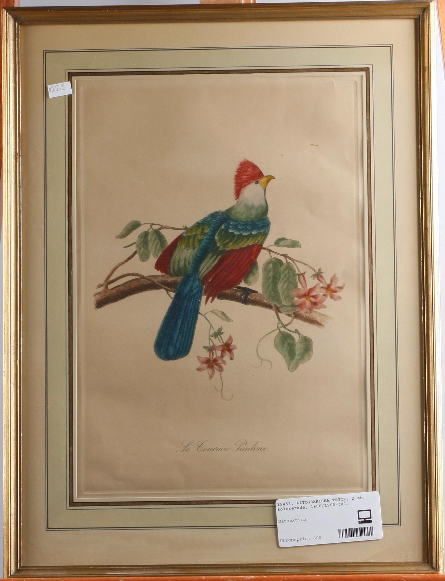 LITOGRAFISKA TRYCK, 2 st, kolorerade, 1800/1900-tal.