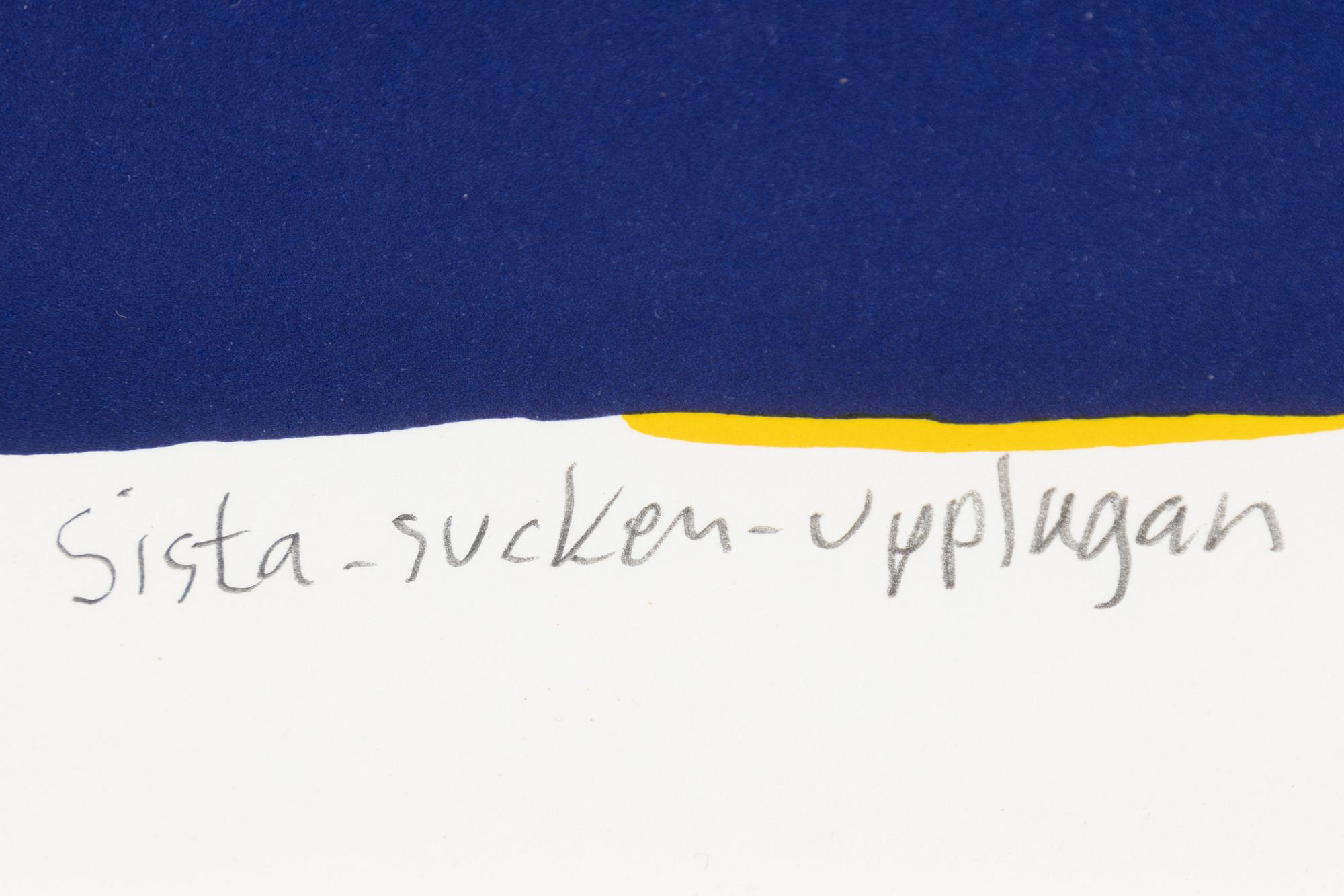 Carl Johan De Geer, "Skända flaggan".