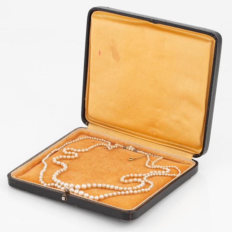 Necklace of two strand of pearls, some of which may be natural.