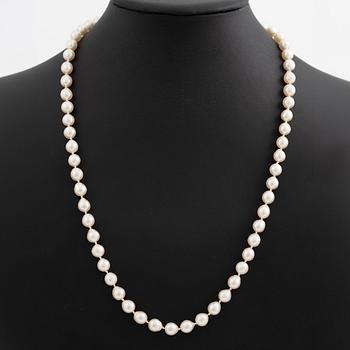 Pearl necklace, cultured pearls with a clasp in 18K gold and small diamonds.