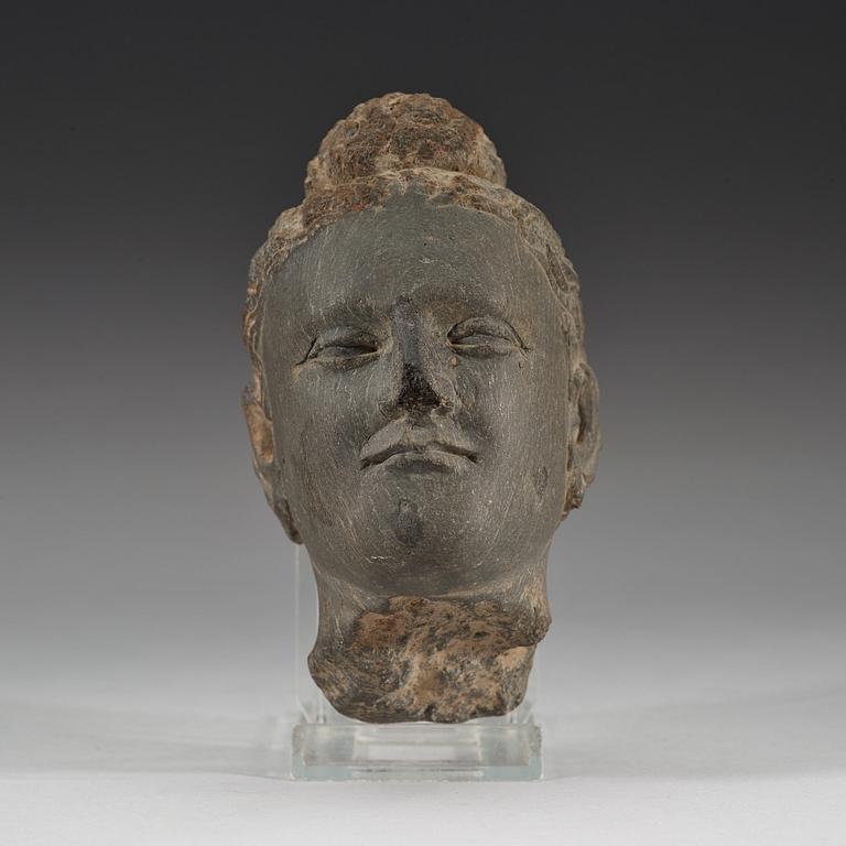 A stone sculpture of a head, Gandhara, presumably 2nd/3rd Century.