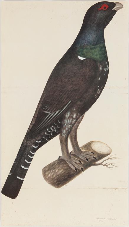 OLOF RUDBECK d.y., "Portföljen", numrerad 1244/1499,  René Coeckelberghs Editioner, 1986.