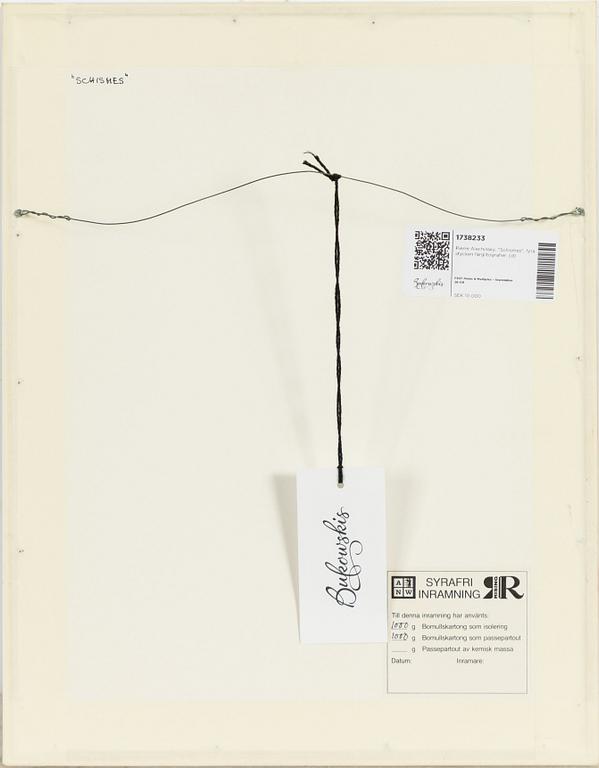 Pierre Alechinsky, "Schismes", fyra stycken färglitografier.