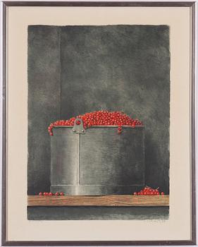 Philip von Schantz, Röda vinbär.