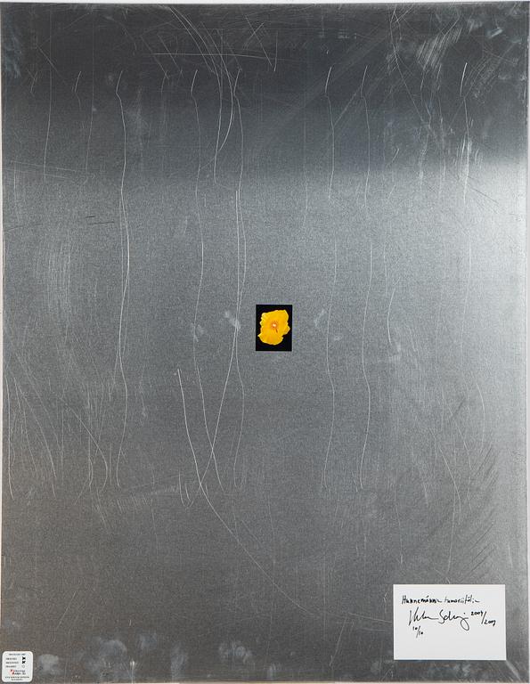 Helene Schmitz, "System och passion2, 4 c-print mounted on aluminum, 2004/2007, signed 10/10.