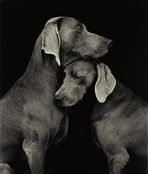 William Wegman, "Friends".