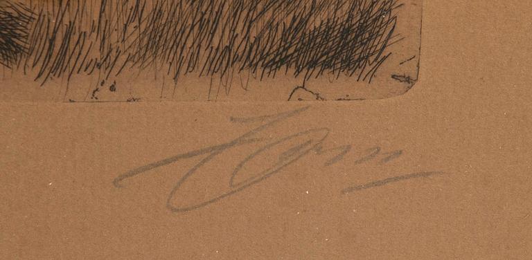 Anders Zorn, Self-portrait in wolf fur coat.