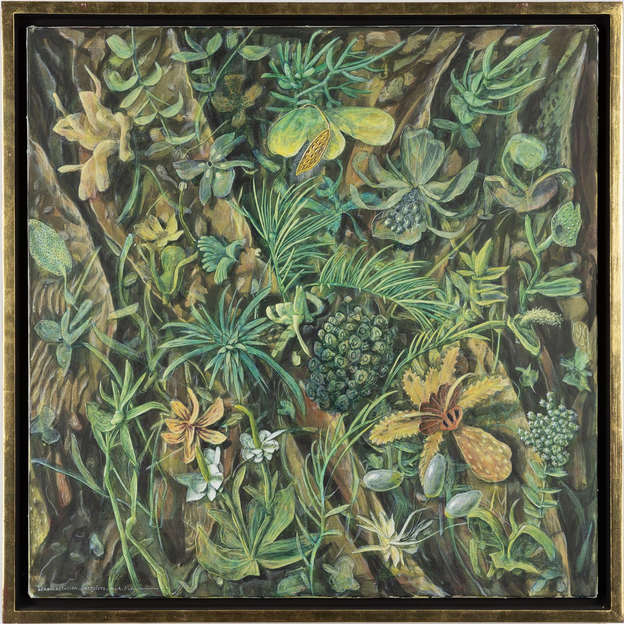 Karl Axel Pehrson, ”Bergsvegetation - Mefoítto”.