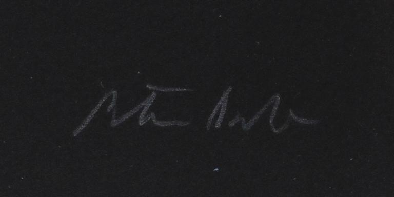 PETER DAHL, färglitografi, sign o numr 275/375.