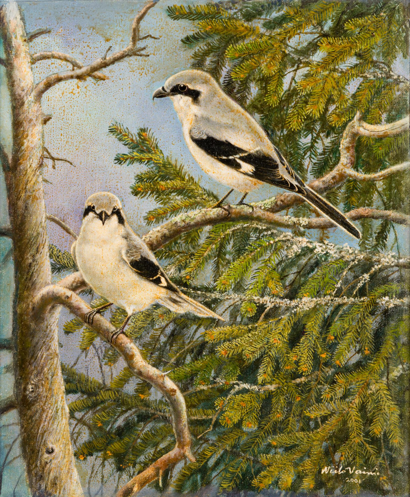 NIILO VAINIO, öljy kankaalle, pingotettu levylle, signeerattu ja päivätty 2001.