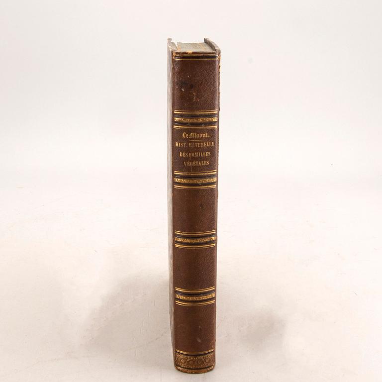 Emmanuel Le Maout, book 'Botanique. Organographie... Histoire naturalle', Paris 1855.