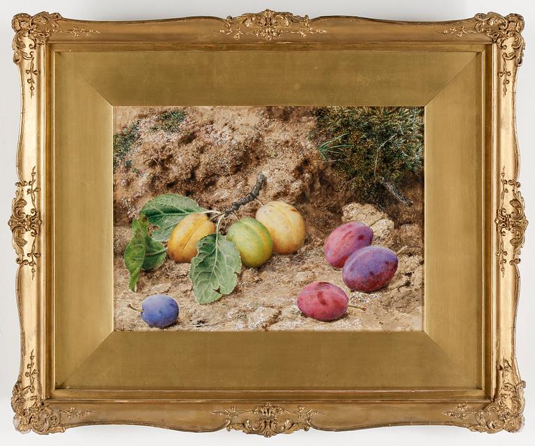 JOHN SHERRIN, akvarell, otydligt signerad.