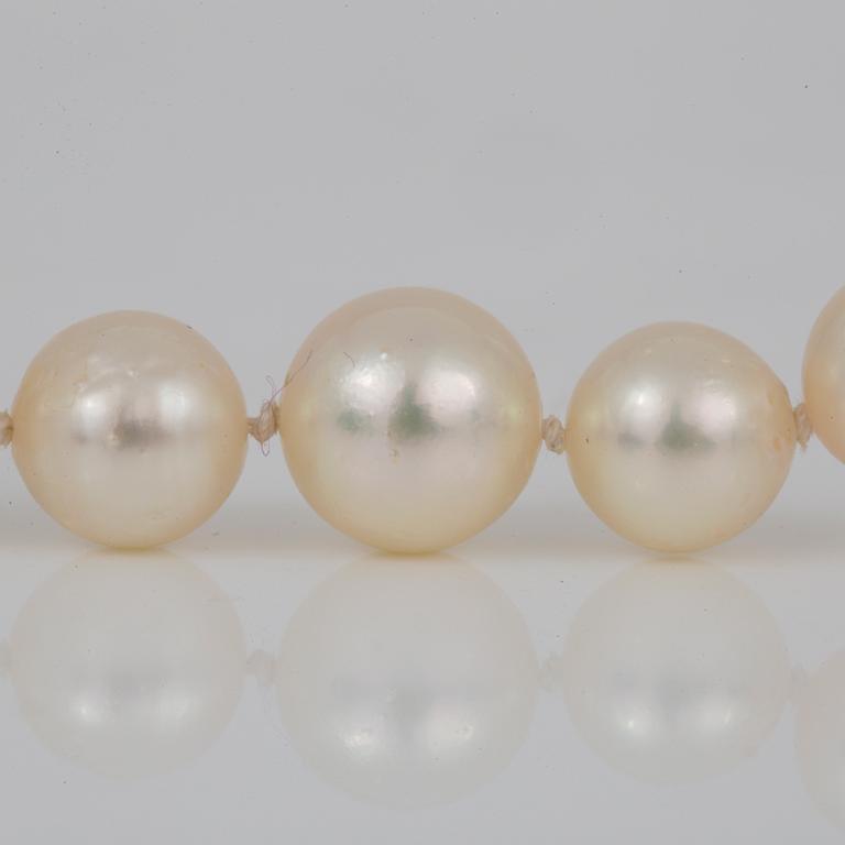 COLLIER, med odlade pärlor och lås i silver.