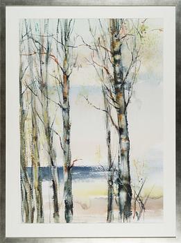 NANDOR MIKOLA, BIRCHES.