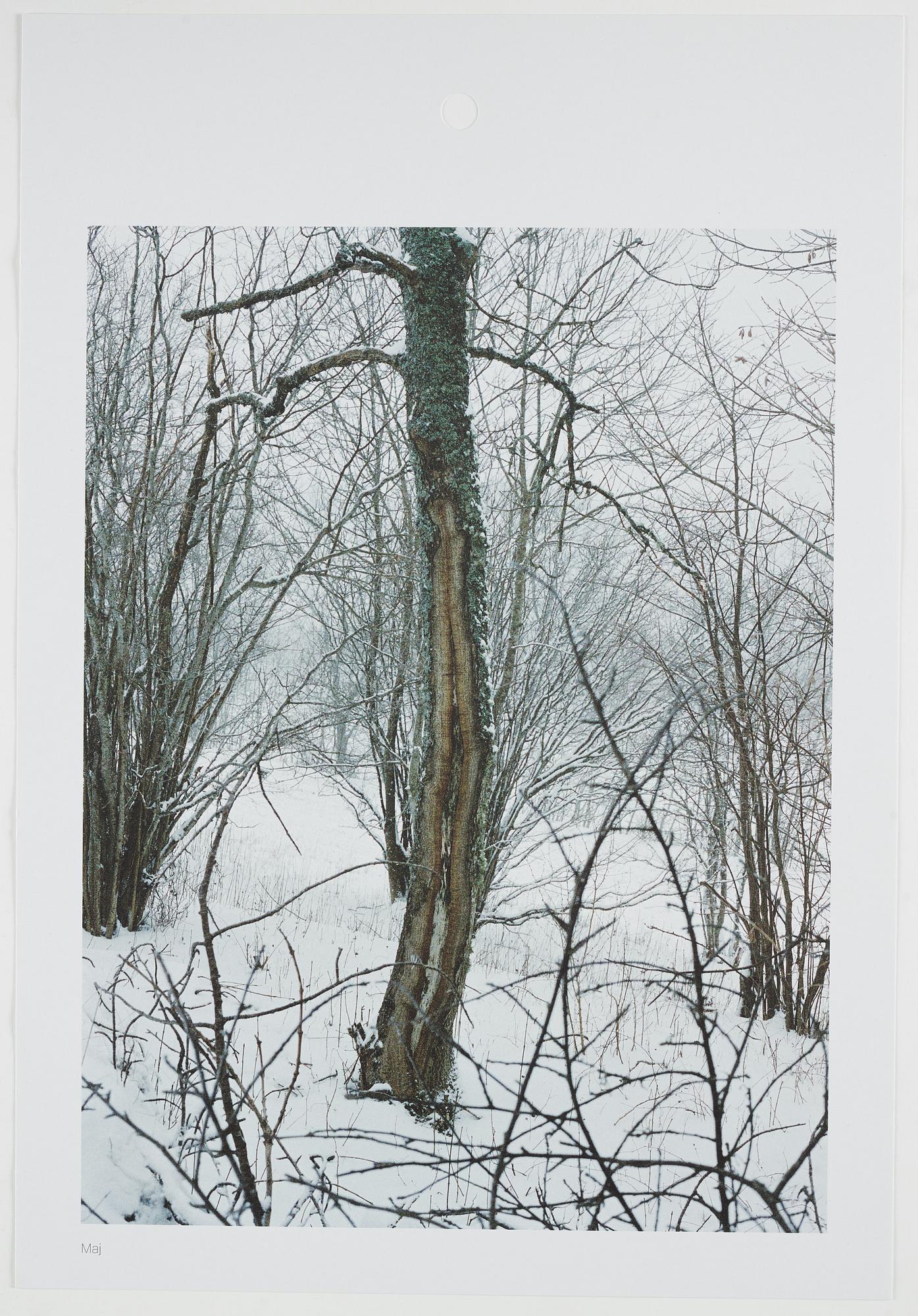 ANDREAS ERIKSSON, portfolio. Signed AE inside the box and numbered 18/250.