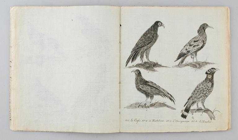 HÄFTE, 1800-tal, teckningar.