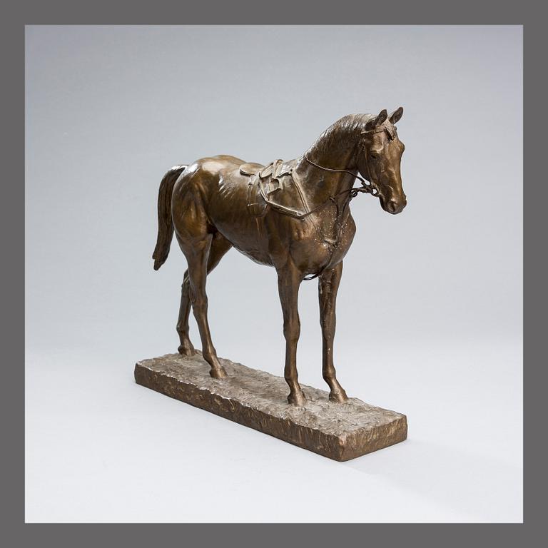 MÄRTA AMÉEN, HORSE.