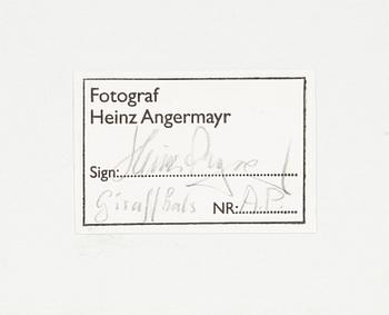 Heinz Angermayr, "Giraffhals".