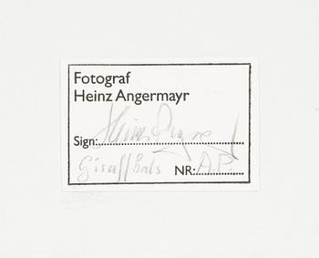 Heinz Angermayr, "Giraffhals".