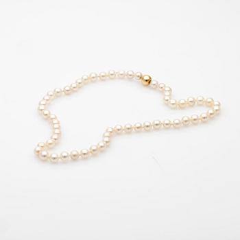 Pearl necklace, clasp in 18k gold.