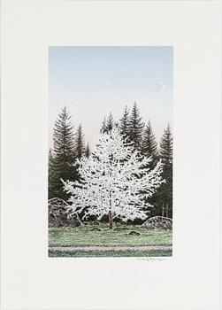 REINHOLD LJUNGGREN, a folder with 6 lithographs, signed and numbered 60/150.