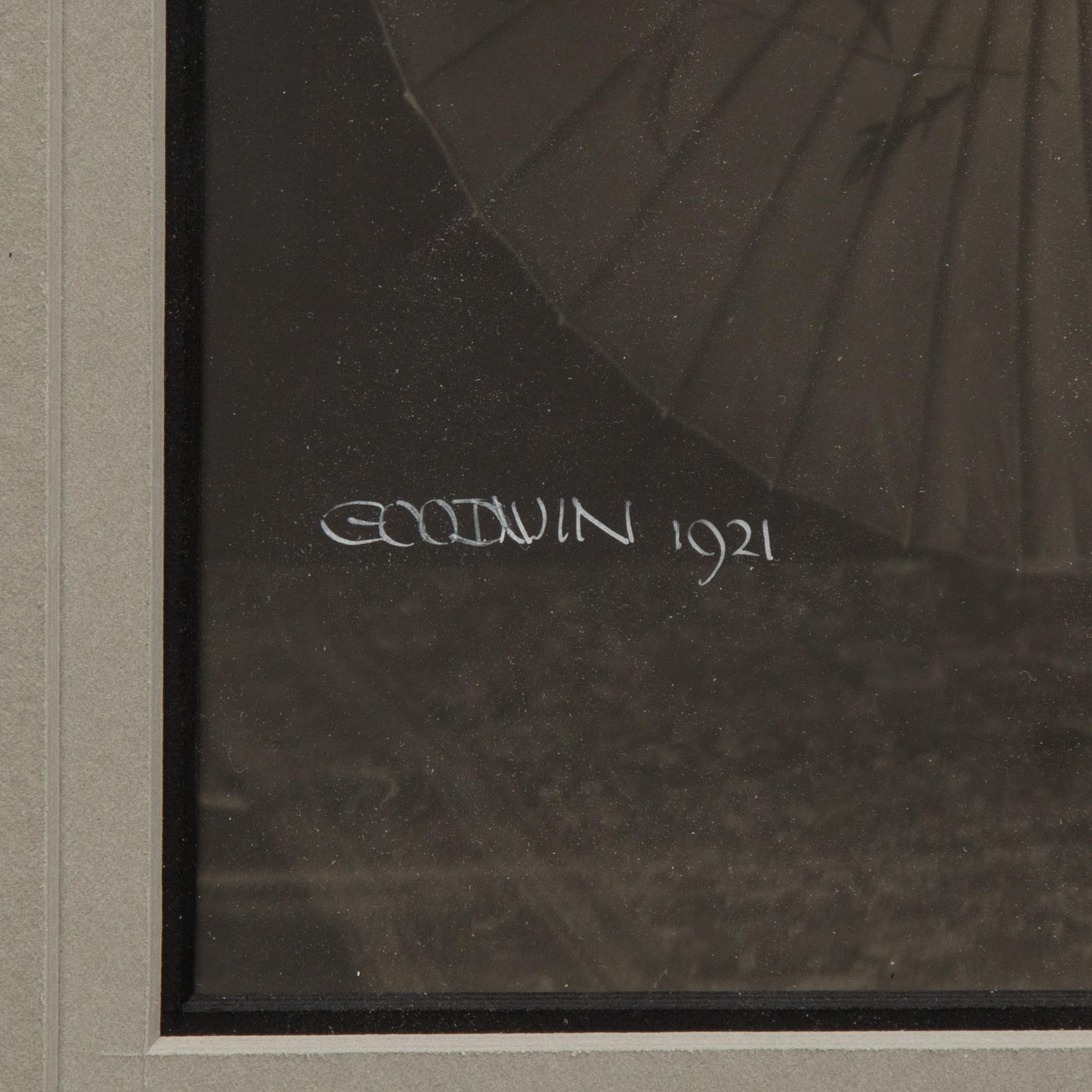 Henry B. Goodwin, "Bird Millman".