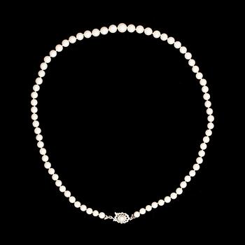 PÄRLCOLLIER, 1900-tal.