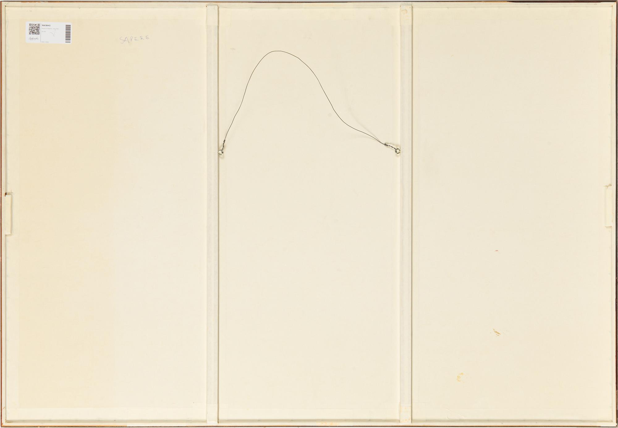 Horacio Sapere, Utan titel.