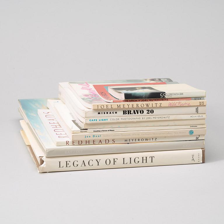 Photo books, 10, e.g Joel Meyerowitz and Richard Misrach.