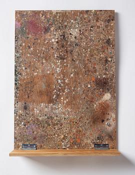 Fredrik Vaerslev, "Shelf Paintings (Dew Problems) #11".