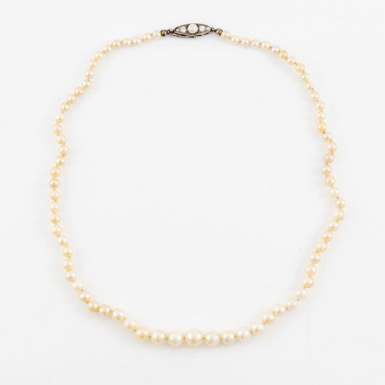 Pearl necklace, with graduated cultured pearls, clasp in gold set with brilliant-cut diamonds and a pearl.
