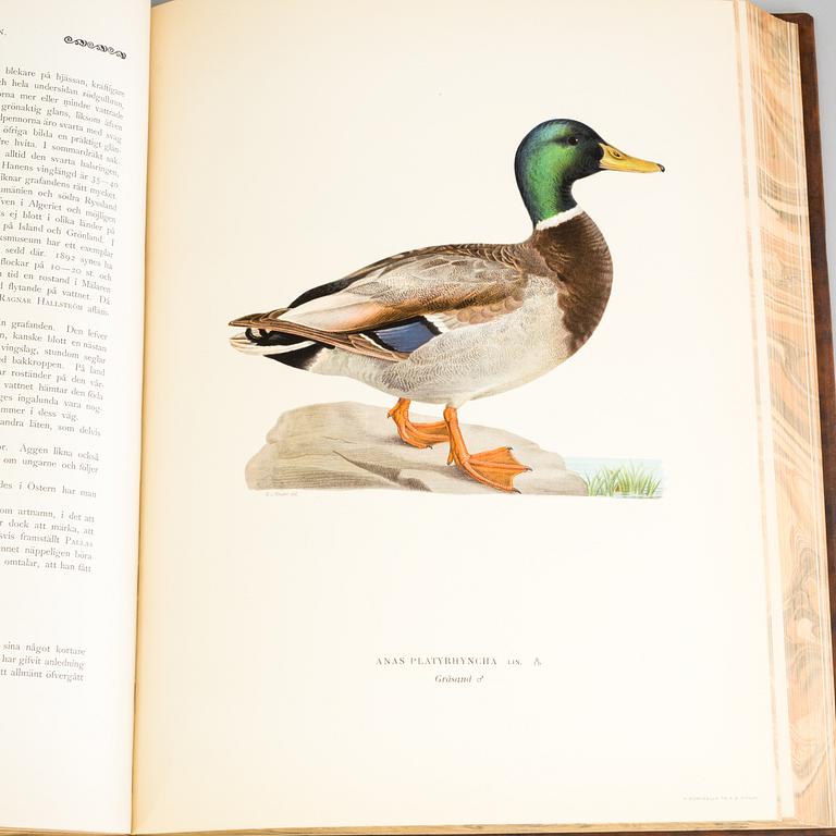 a set of three "Svenska fåglar" books by VON WRIGHT M, W & F, stockholm 1927-1929.