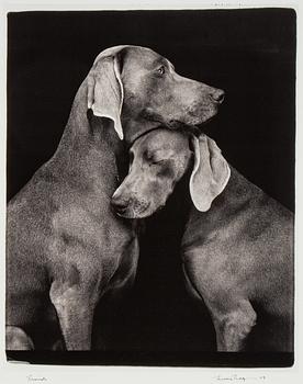 William Wegman, fotografi, signerad och daterad 2009.