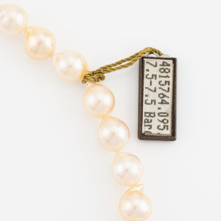 A necklace of cultured pearls without a clasp.