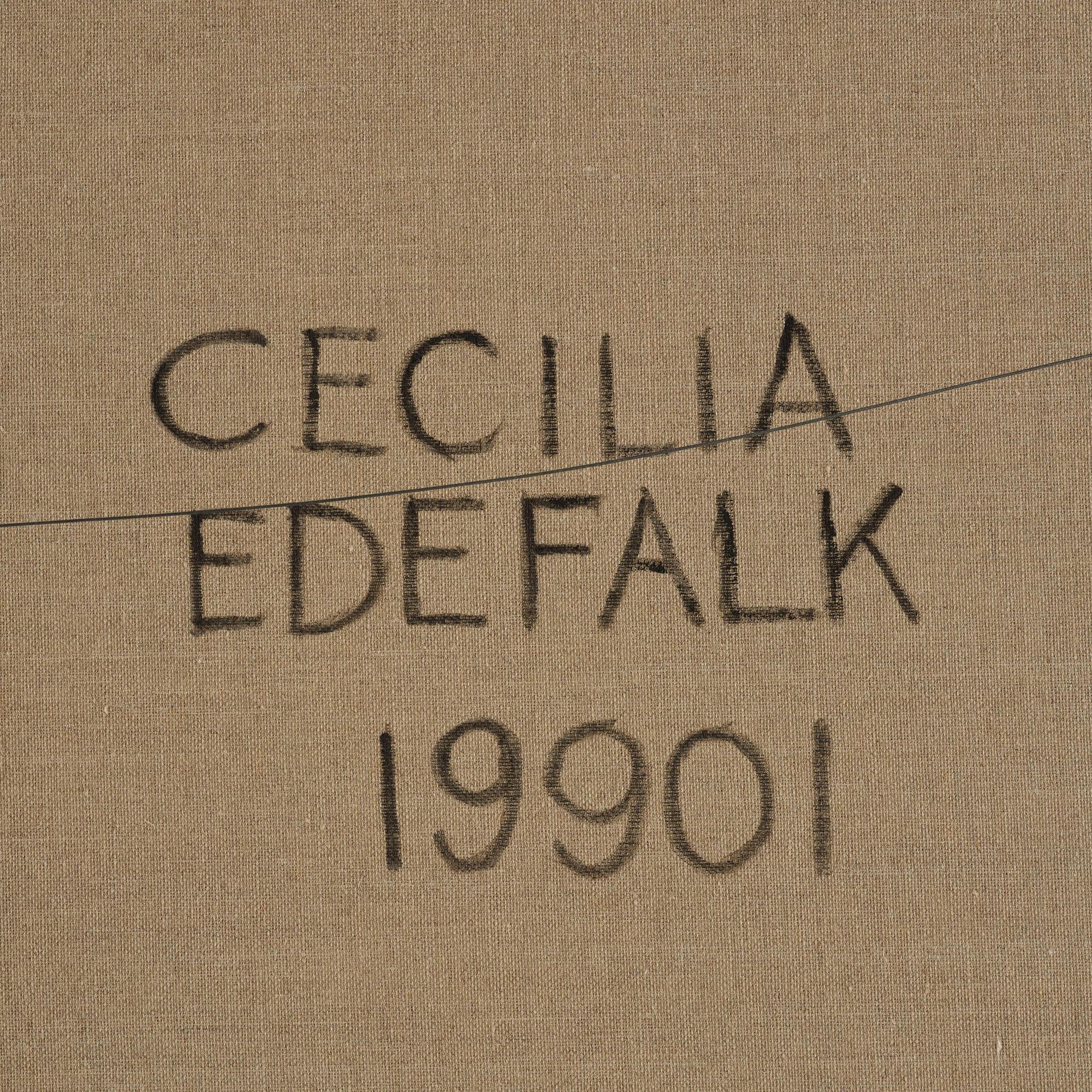 Cecilia Edefalk, "Over the border".