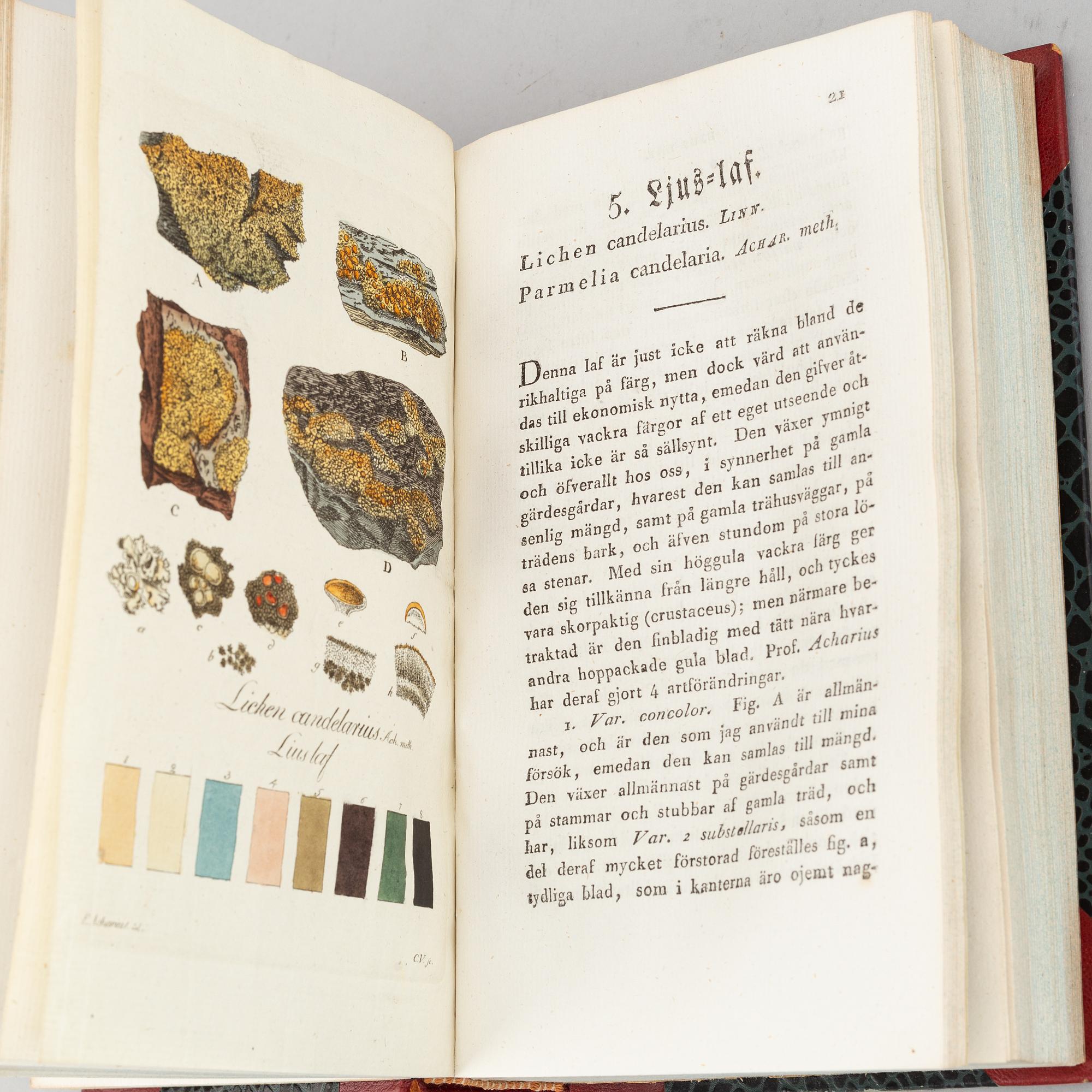 With 25 hand-coloured plates of lichens.