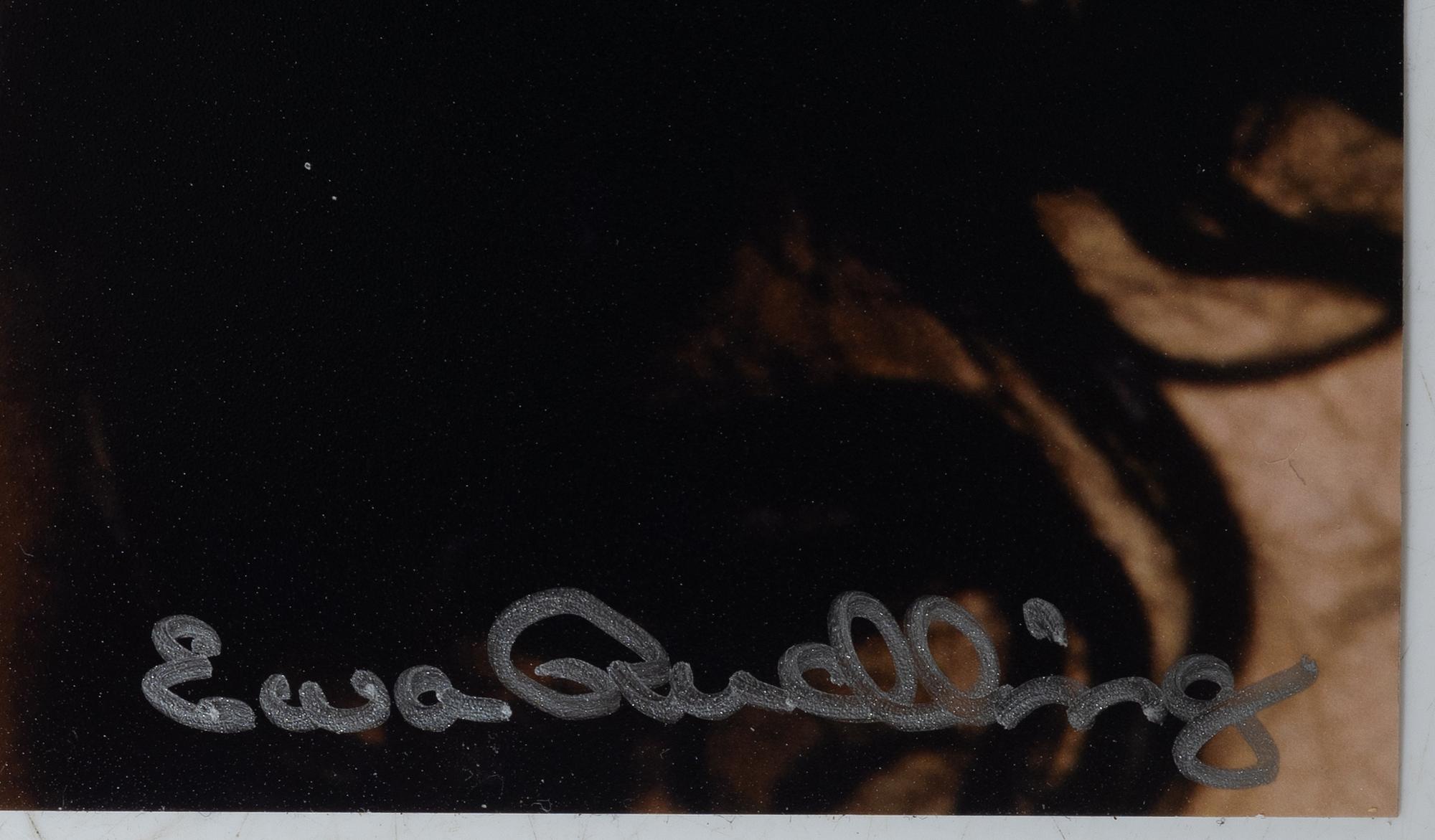 Ewa Rudling, 'Frank Zappa'.