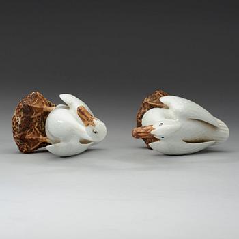 A pair white glazed ducks, early 20th century.