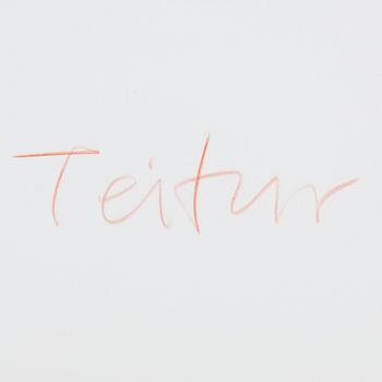 Teitur Ardal, "Mt Fuji".