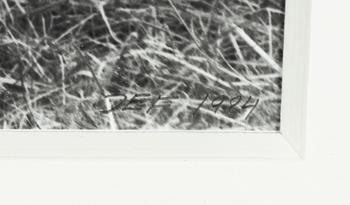 John-E Franzén, Untitled, 1984.