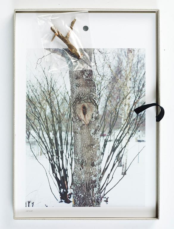 Andreas Eriksson, Almanacka 2011.