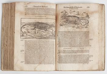 PIETRO ANDREA MATTIOLI (1501-1577), De i discorsi di m Pietro Andrea Matthioli sanese, Medico Cesareo.., Venedig 1535.