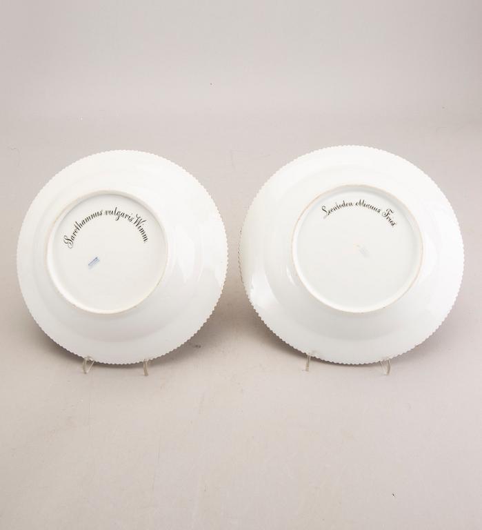 Tallrikar, 2 st, "Flora Danica", Royal Copenhagen Danmark sent 1800-tal.