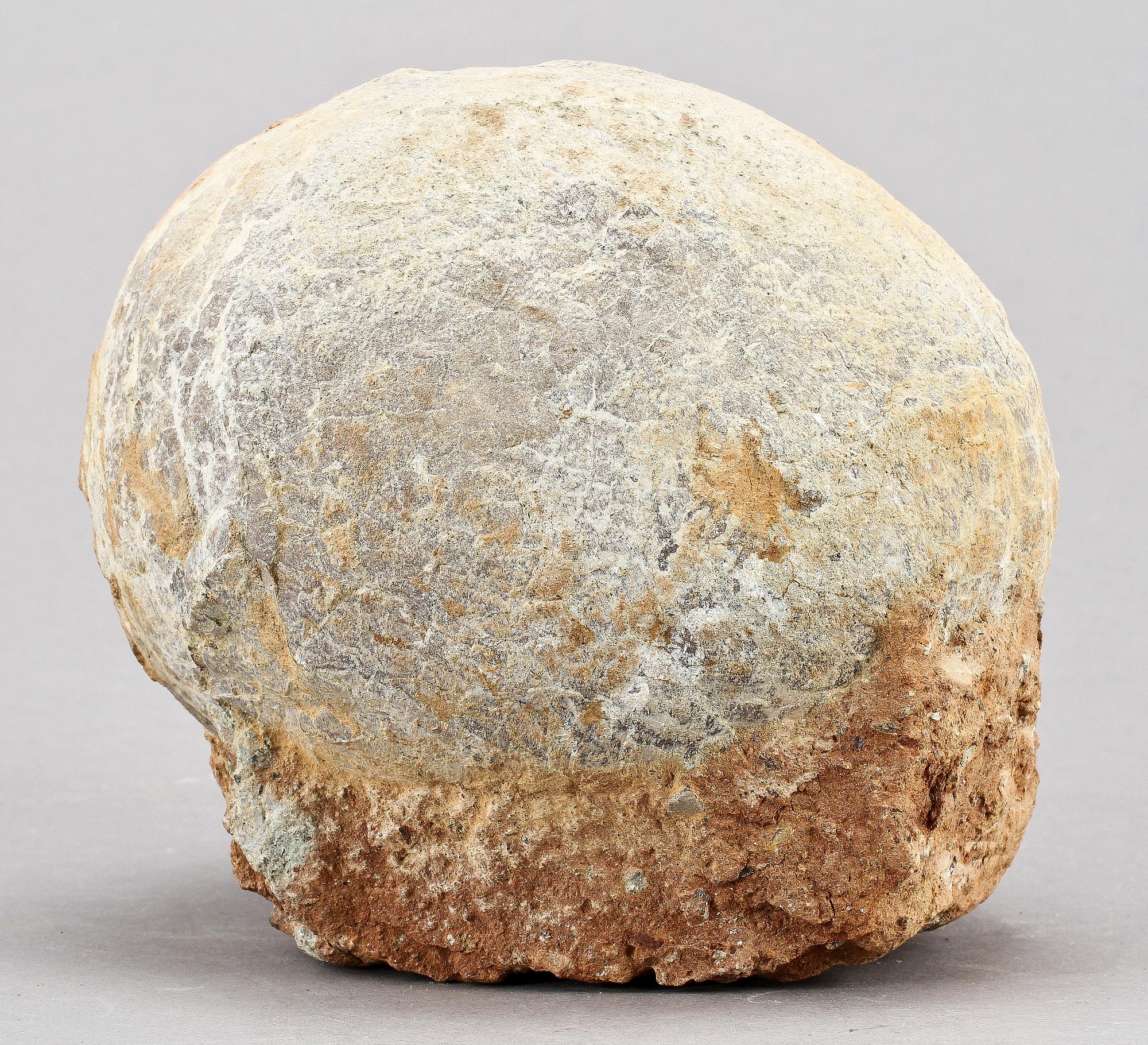 DINOSAURIEÄGG, fossil.